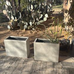 Large Planters