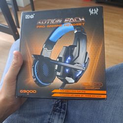 Pro Gaming Headset