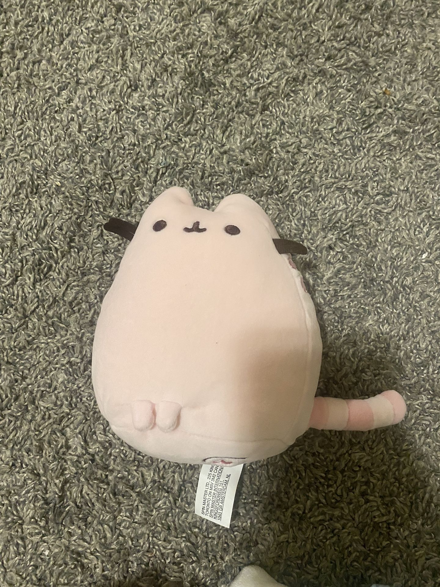 Pink pusheen