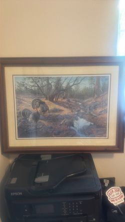 Wild Turkey Federation print