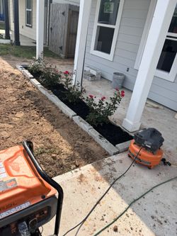 Flower Bed