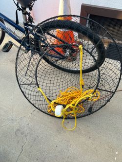 Lobster hoop