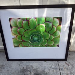 Framed art