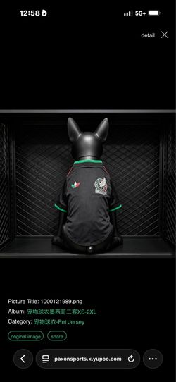 Camiseta de la selección mexicana para mascotas