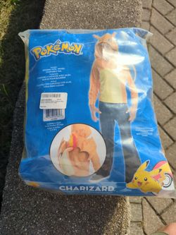 Pokemon Charizard Boys costume