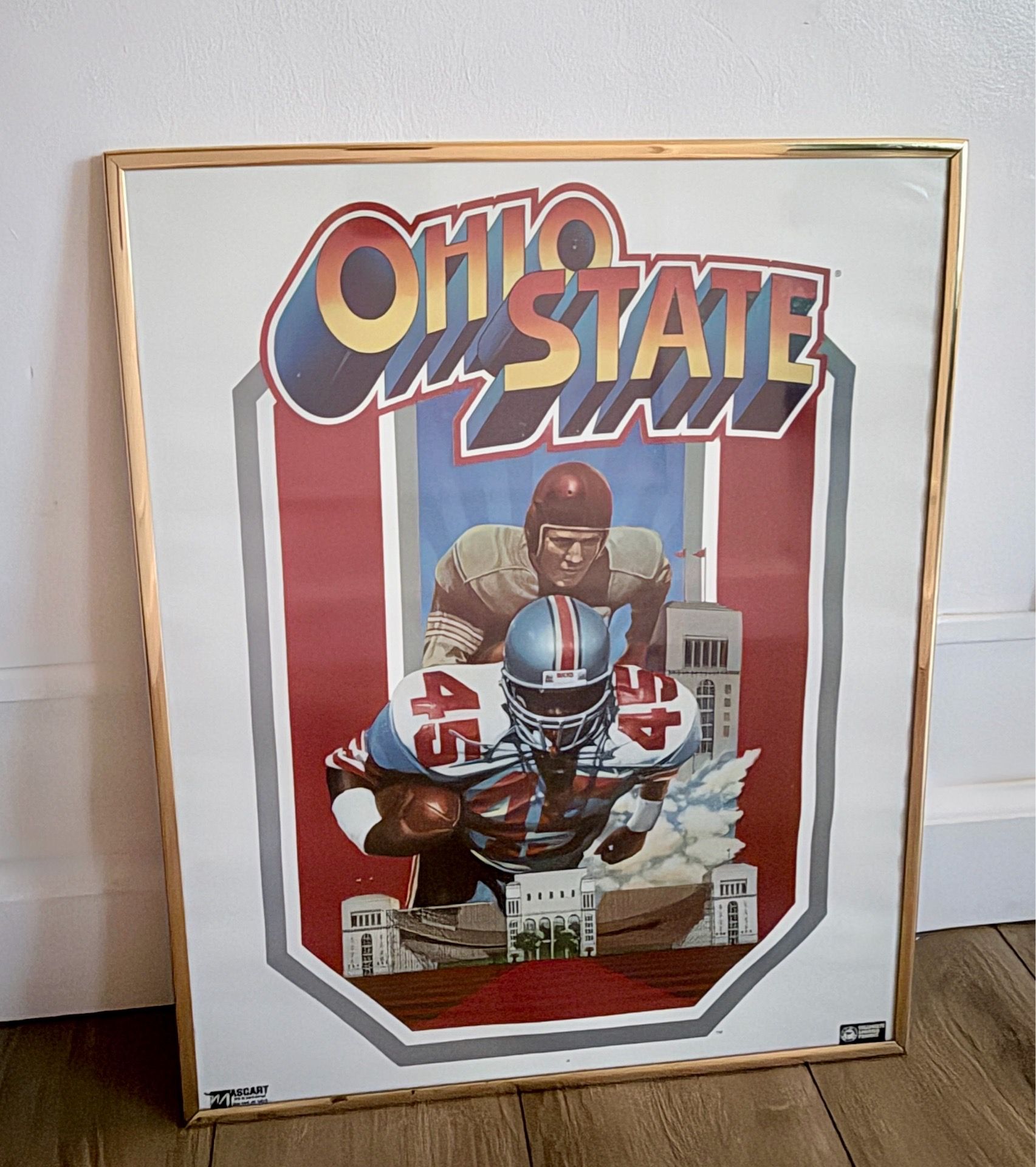 Ohio State Buckeyes Framed Panoramic Print - Blakeway