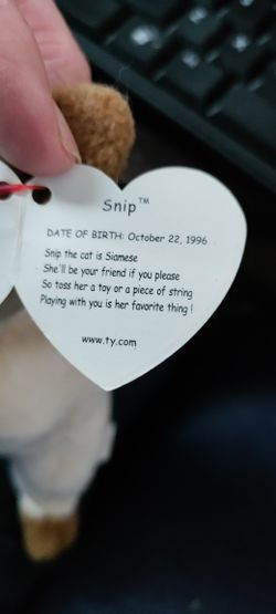 Rare Snip The Cat Siamese Beanie Baby 1996