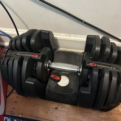 Bowflex 1090 Adjustable Dumbbell Set