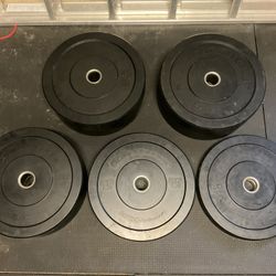 Bumper Plates Set (340lbs)