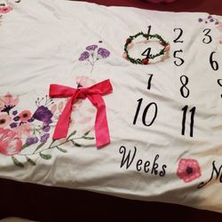 Baby Milestone Blanket