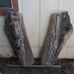 Alligator Juniper Slabs