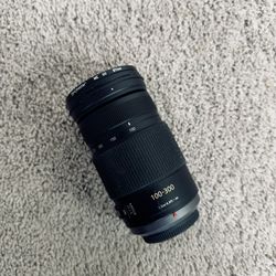 Panasonic Lumix G Vario 100-300mm MEGA O.I.S. Lens