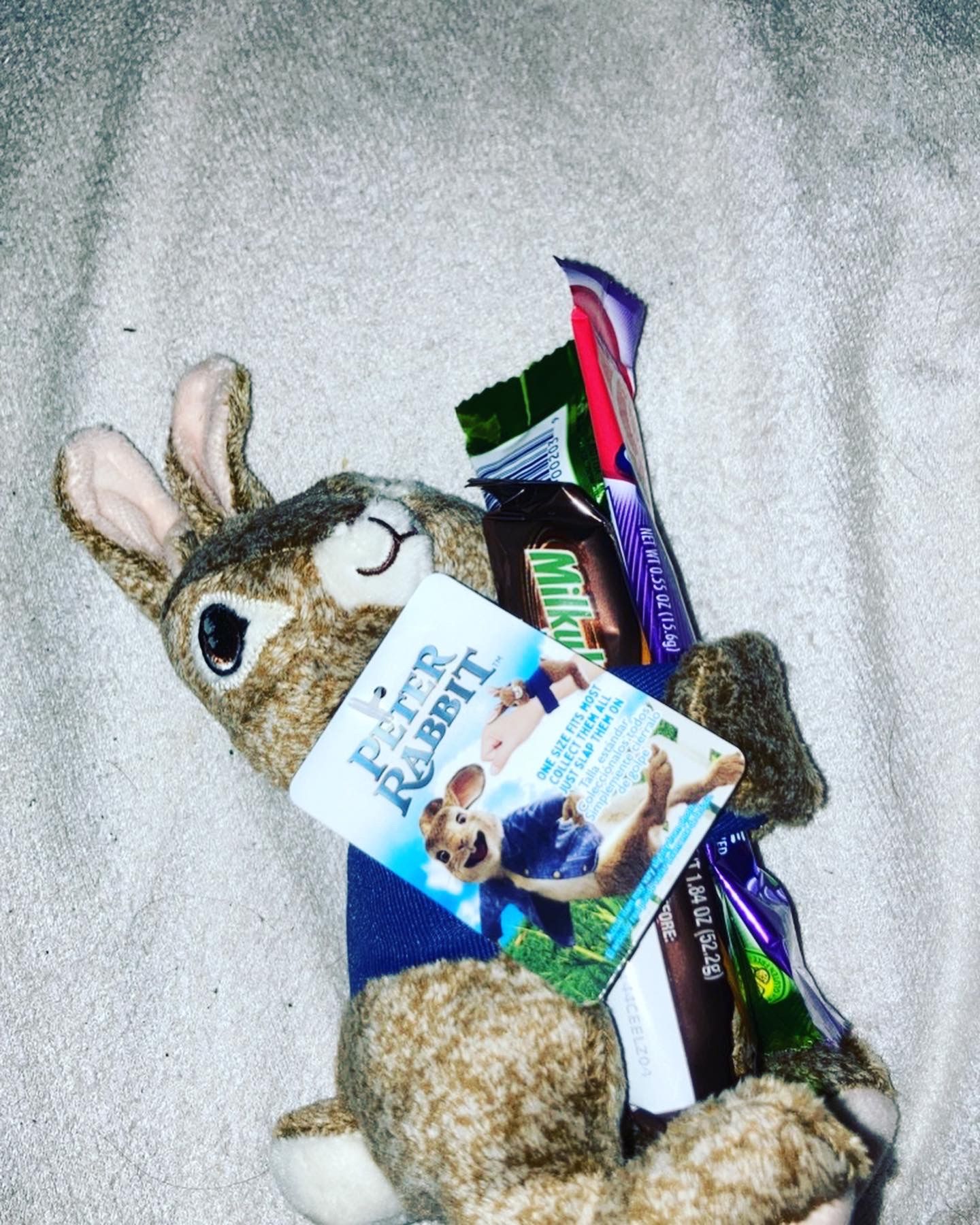 Peter rabbit stuff animal with three candys Brand new