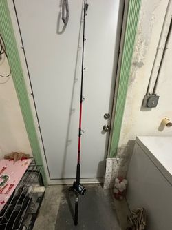 Penn rod and reel