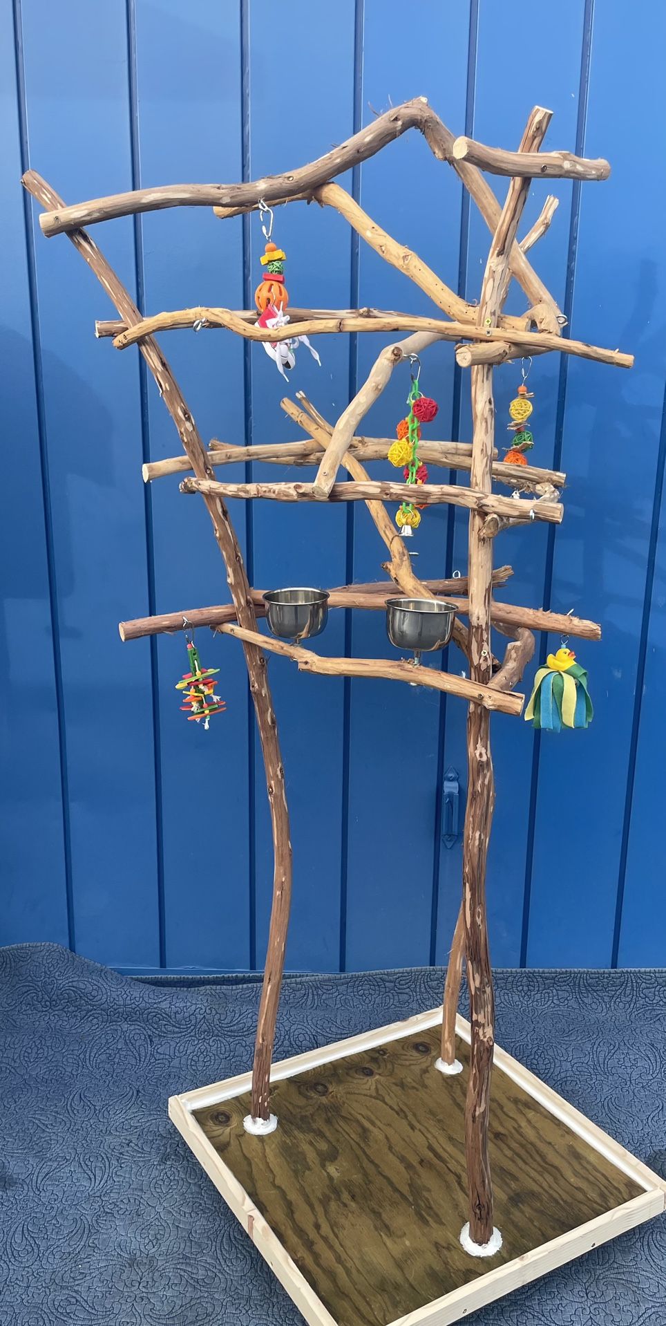 African Grey Amazon Parrot Perch Tree … The Best Socializer For Mr Feathers 👌🏾