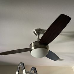 Ceiling Fan