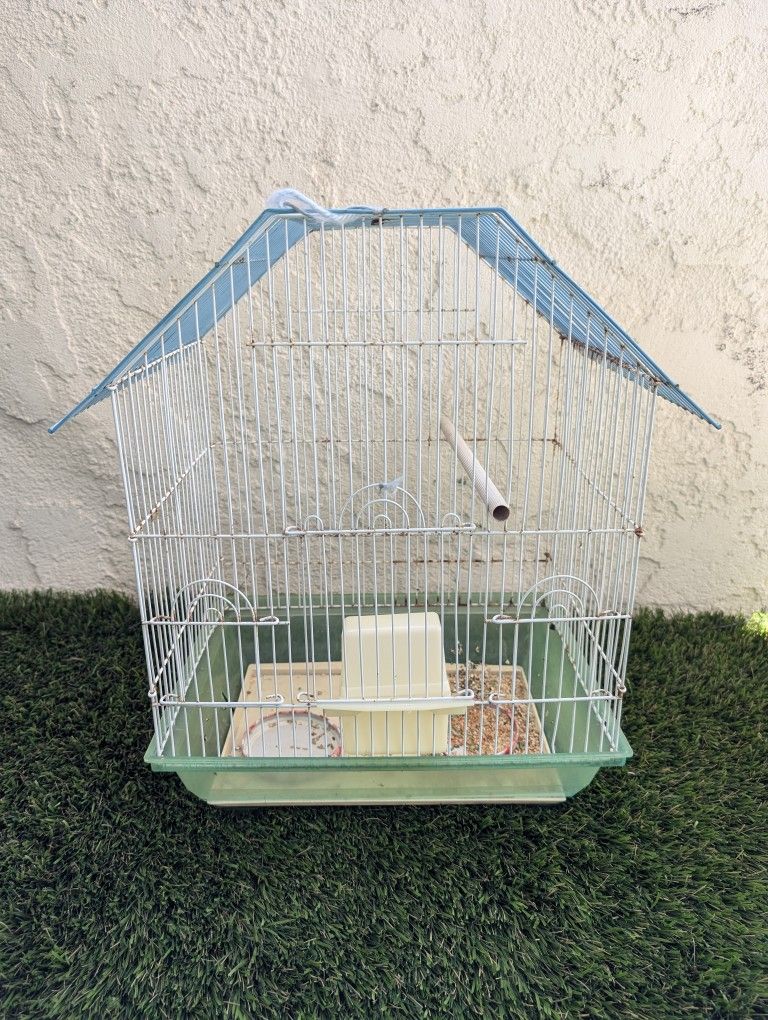 Bird Cage 🐦🐦🐦