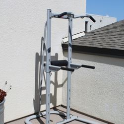 Bowflex Body Tower Power Tower Pullup Dips for Sale in Piedmont CA OfferUp
