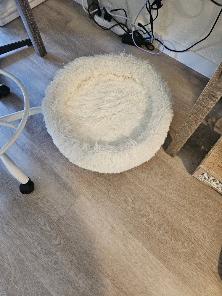 Cat Bed