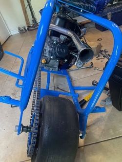 Stretched out racing comrade