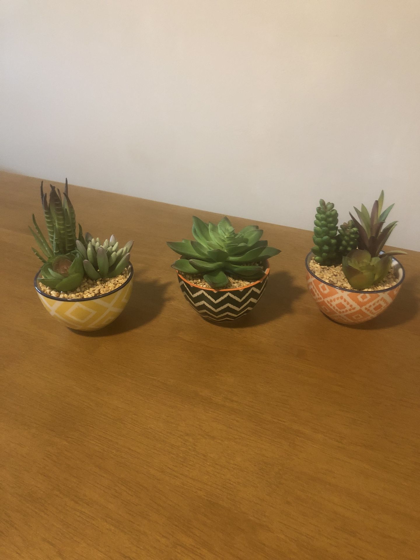 Boho Succulents