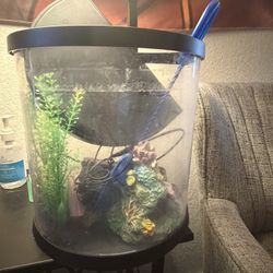 Small aquarium Fish Tank 