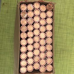 Box of 2024 Philadelphia pennie’s