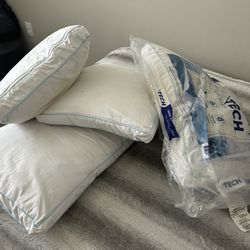 Costco Pillows ( 4 ) 