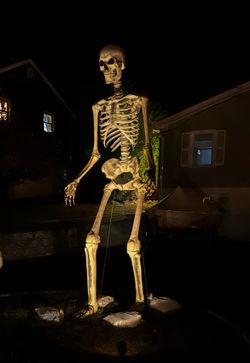 Skelly 12 FT Giant Skeleton - Home Depot