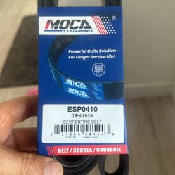 Serpentine Belt Free 🆓