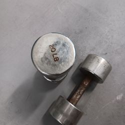  20lbs Dumbells 