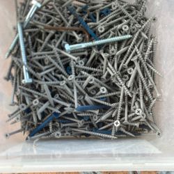 Primeguard Exterior Screws 