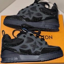 Louis Vuitton skates