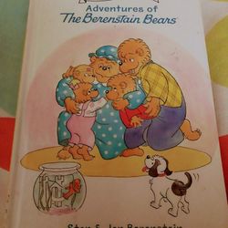 Children's Hardback Storybook Berenstsain Bears