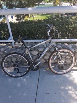 Specialized (Large Frame)