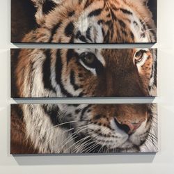 Tiger Painting 