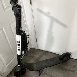 Bird Electric Scooter SHOOT OFFERS