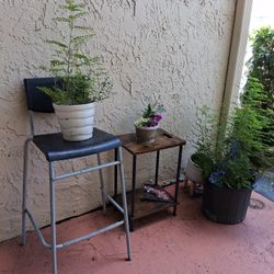 Plant + Plant Stand