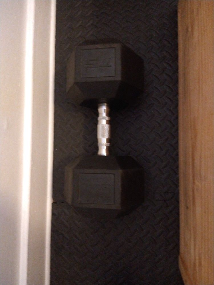 75# Dumbbell