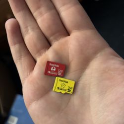 Nintendo Switch SD Card 256 GB And 128 GB