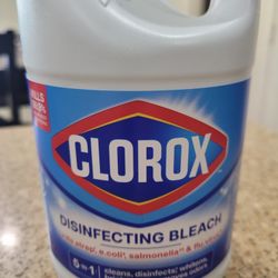 NEW Clorox Disinfecting Bleach 43oz