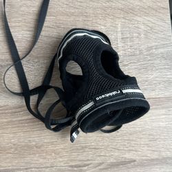 Kitty Leash Small
