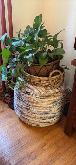 Poof and pothos basket (optional)