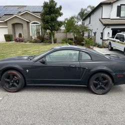 2000 Ford Mustang