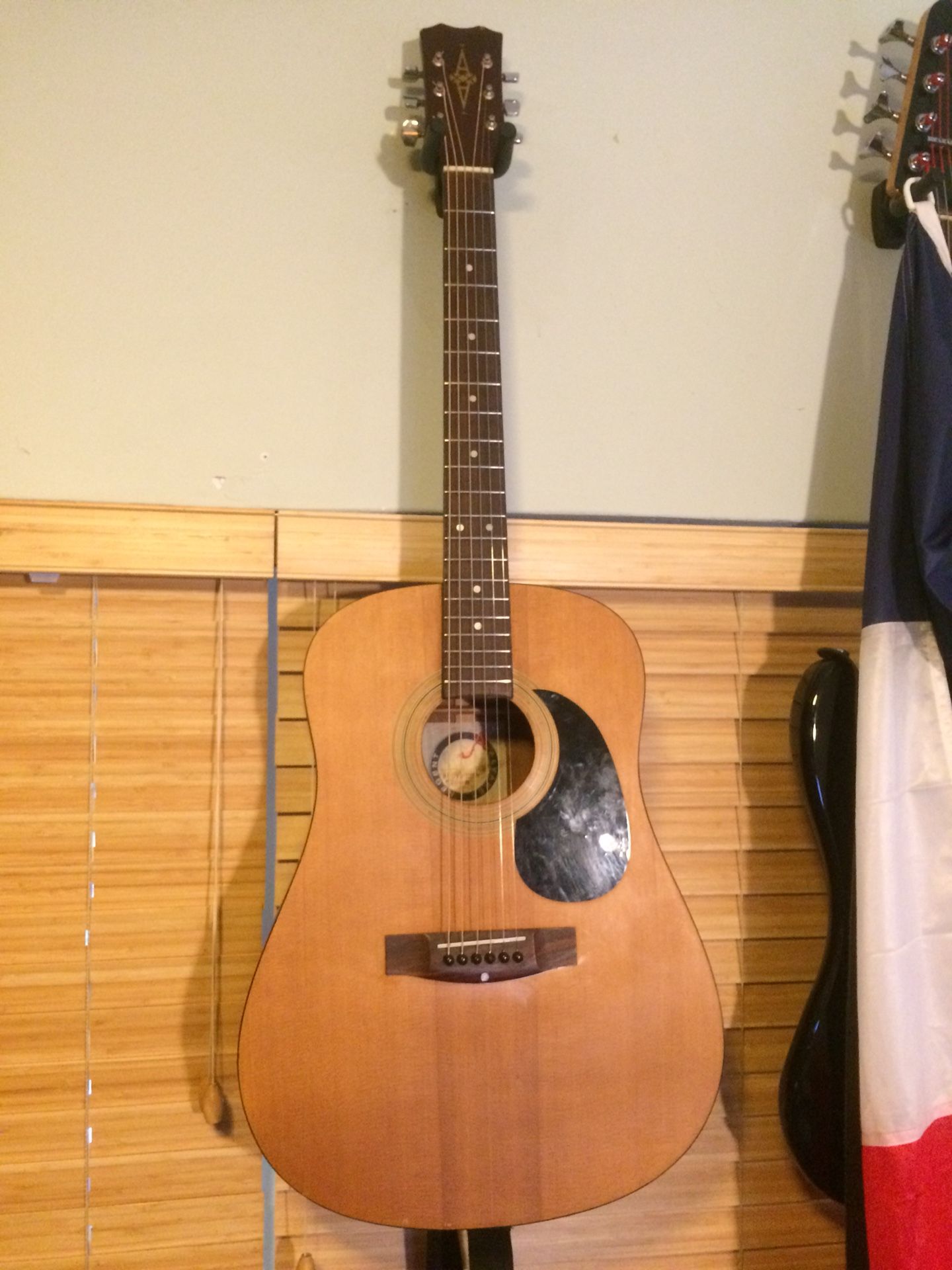 Acoustic guitar Alvarez Regent 5208N