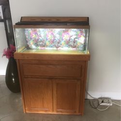 22 Gallon Fish Tank With Wooden Stand 