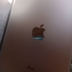 iPad mini