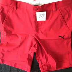 Puma Shorts Size 34 Brand New