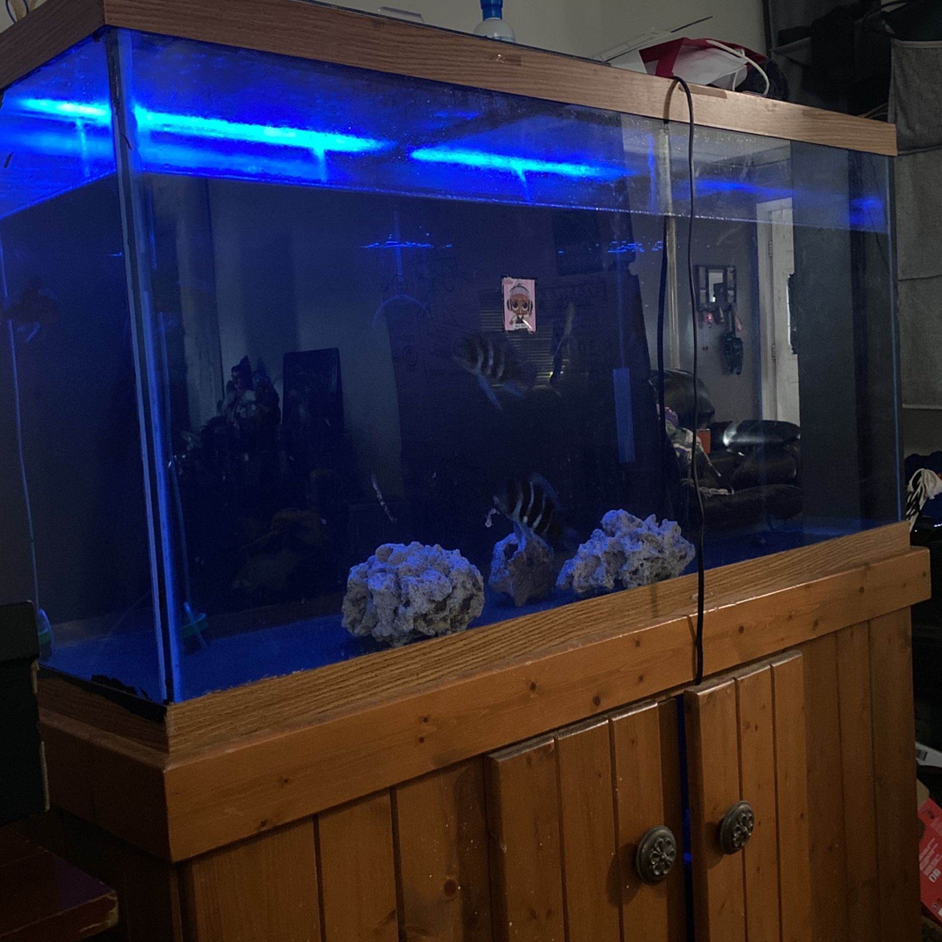 90 Gallon Tank