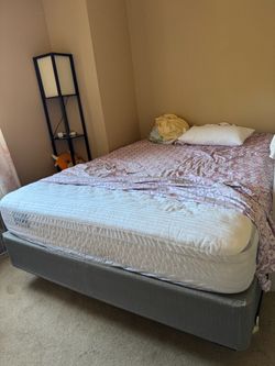Queen Bed Mattress, Box, and Frame